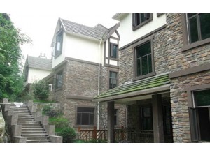 别墅安防监控系统