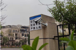 鲁能泰山7号
