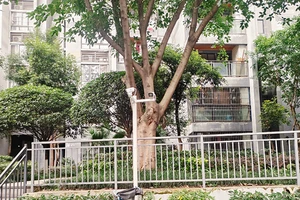 东原香郡