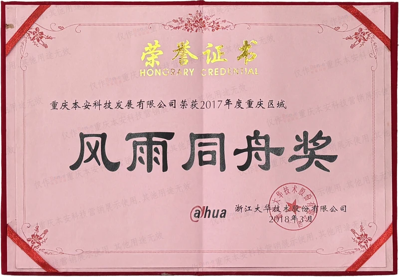 大华2017年度风雨同舟奖证书