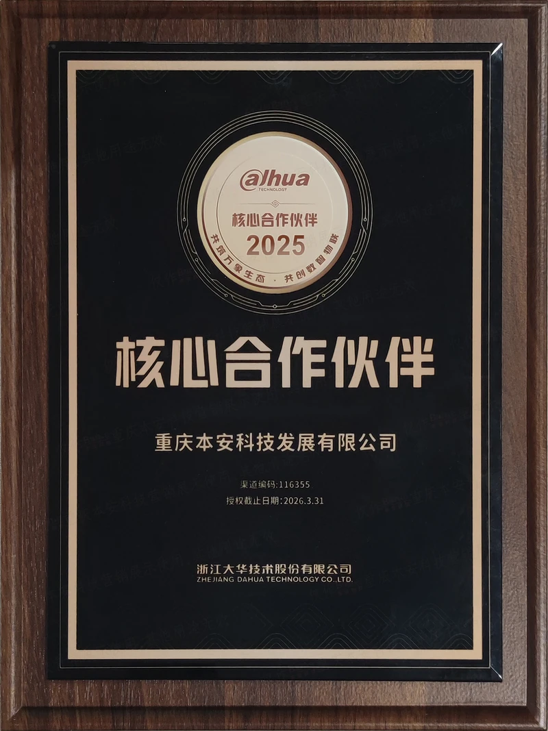大华核心合作伙伴